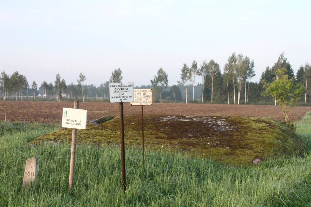 Kohtumine Ristivälja rändrahnuga