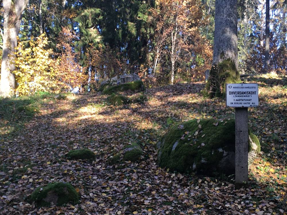 Vanamõisa Tammemägi