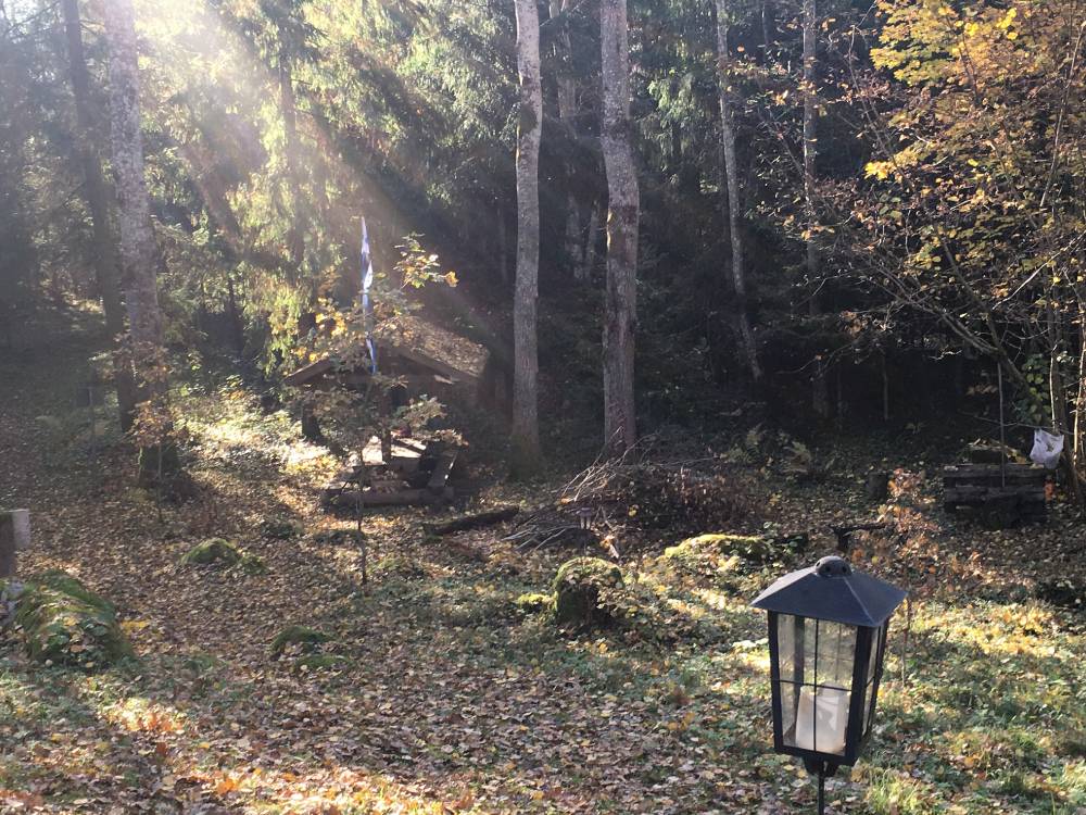 Vanamõisa Tammemägi