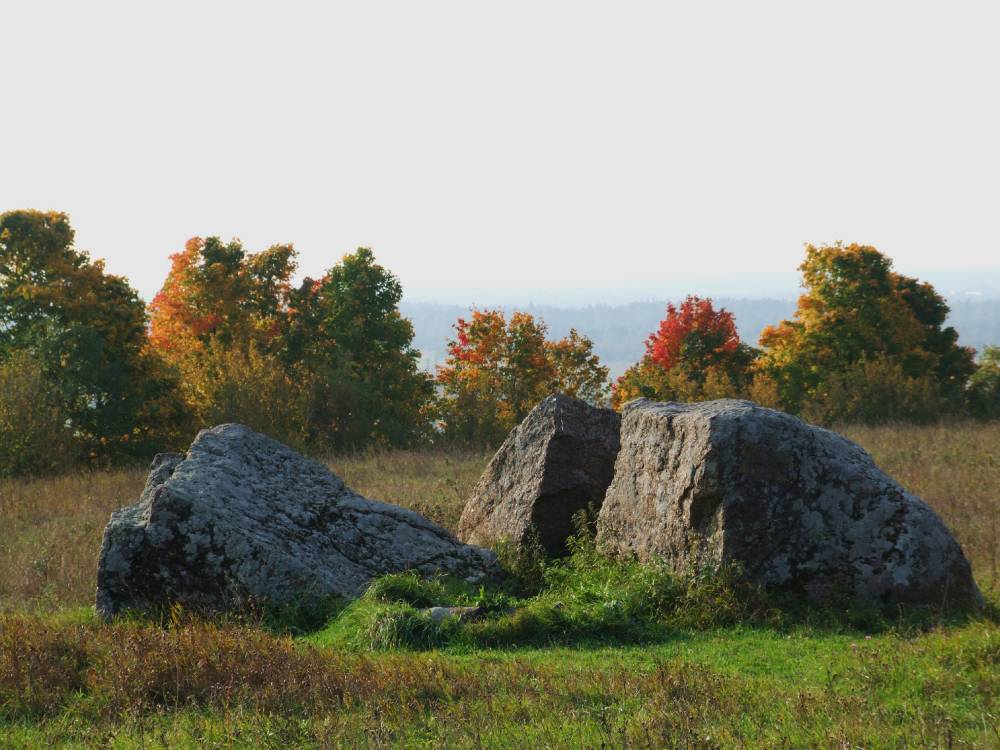 Сердце Ингерманландии