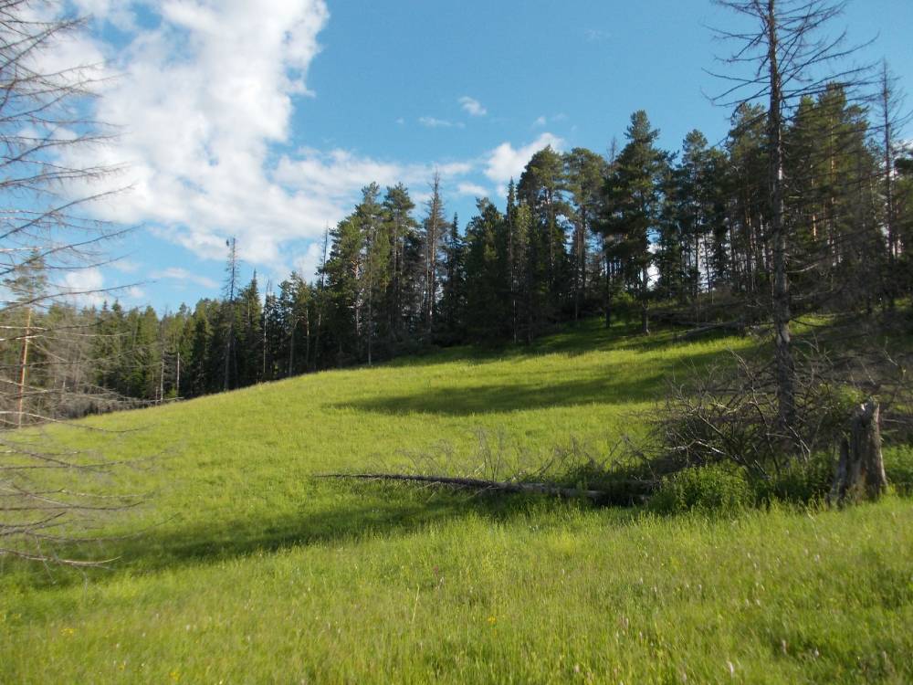 Лудбам, сакральное место деревни Карамас-Пельга