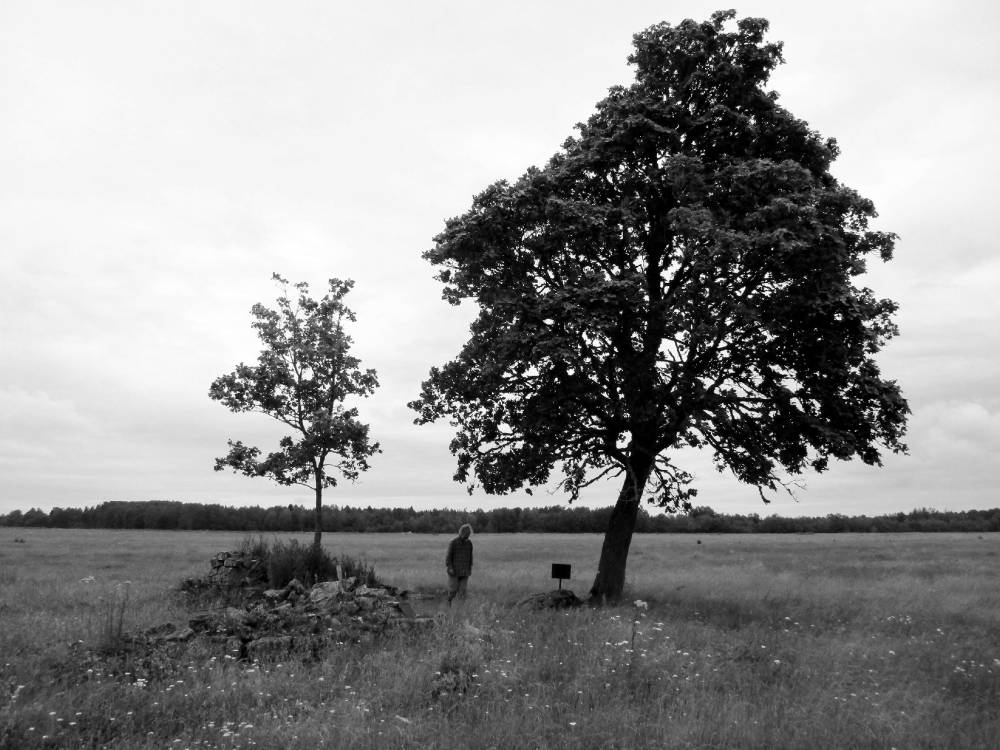 esivanemate jälgedel püha kivi juures