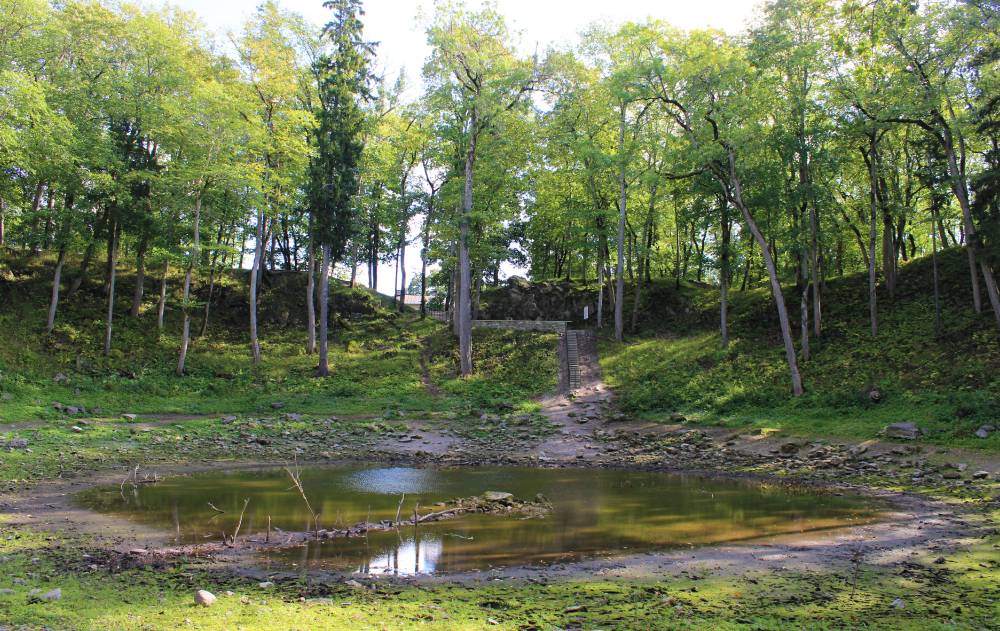 Rohelus enne värvidemängu