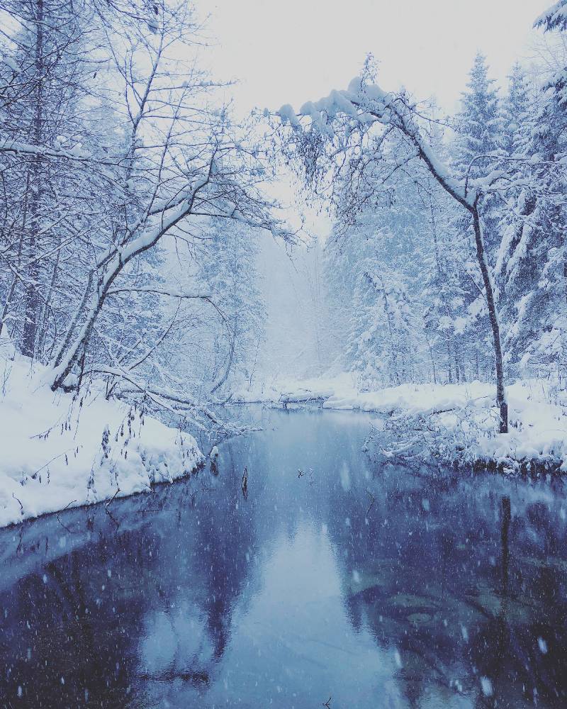 Saula Siniallikate Haldjamets