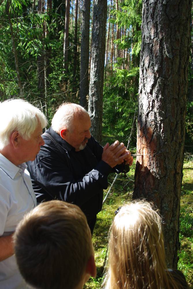 Saru ristimets saab juurde uue ristipuu