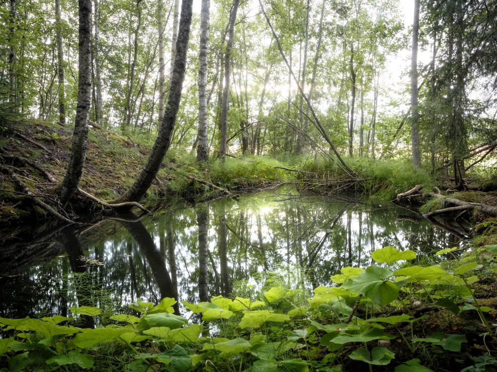 Parantavaa vettä | Healing water