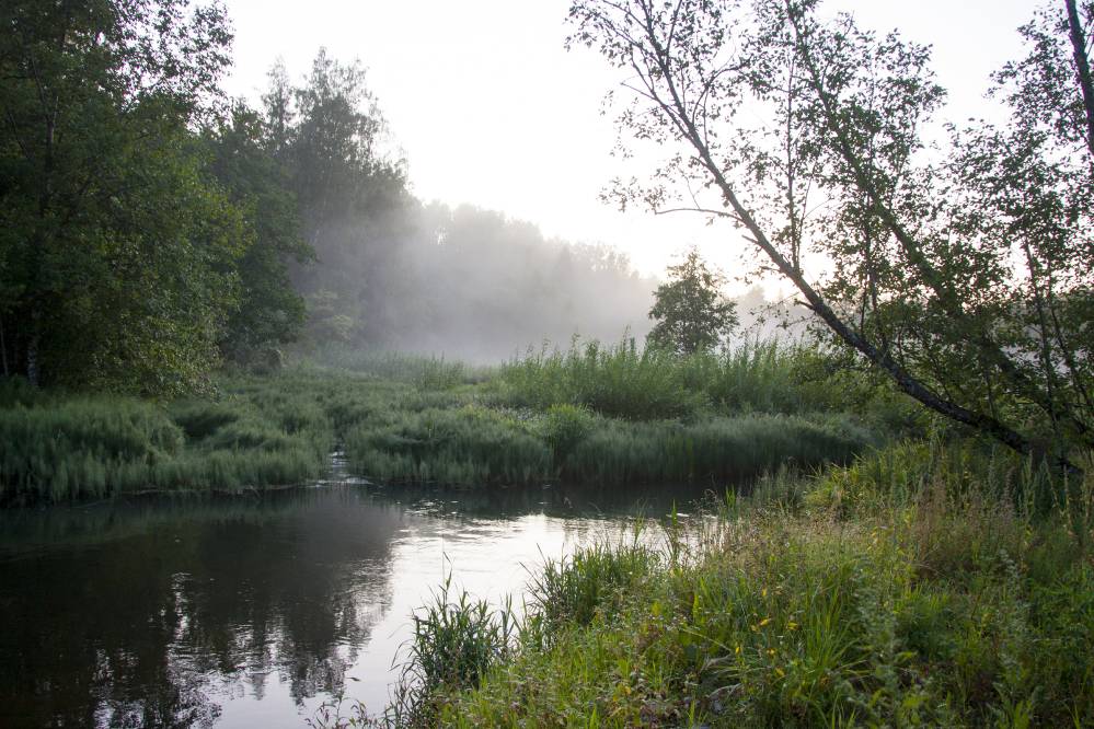 Müstiline Pühajõgi/ Võhandu jõgi