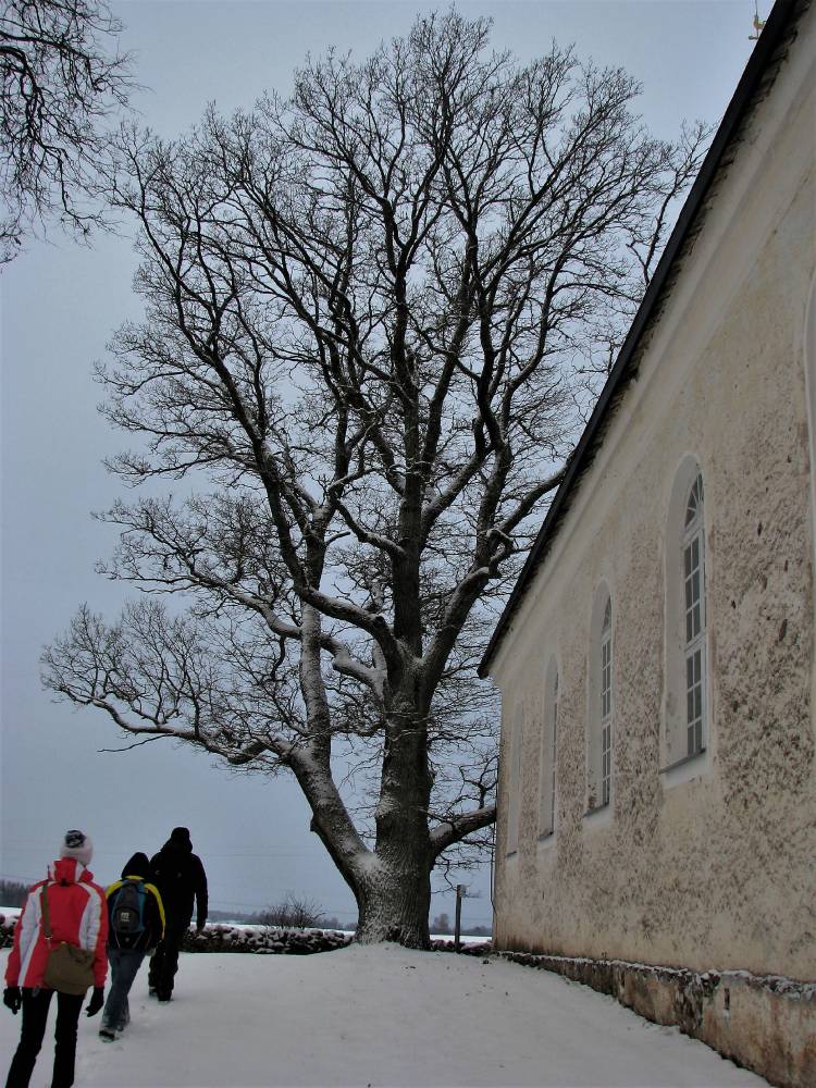 Vara vaimu valgusel