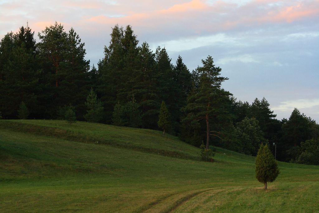 Paluküla Hiiemägi