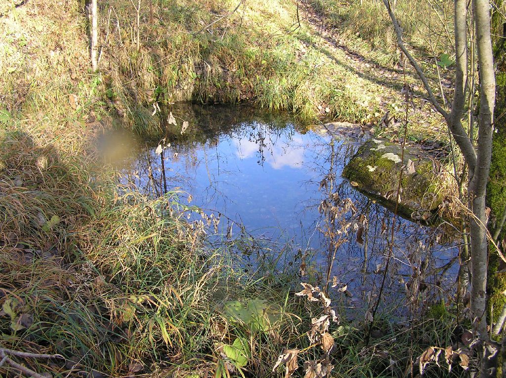 Ohvriallikas Vetehaldjaga(udukogu vasakul)