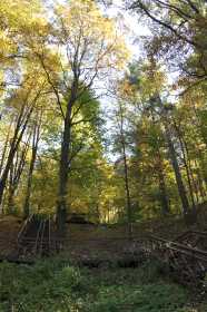 Природно-исторический лесопарк Покровское-Стрешнево  , его источник и его окружение 