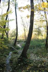 Природно-исторический лесопарк Покровское-Стрешнево  , его источник и его окружение 