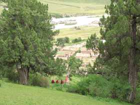 Reting Forest: Monks resting on the circuit near a shrine next to a juniper tree with trunk painted red.